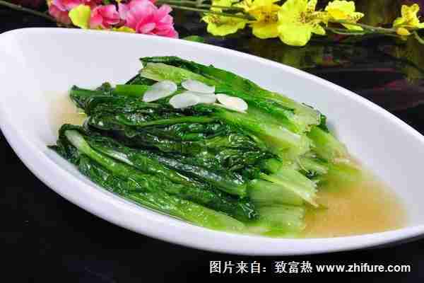 什么土比较好种油麦菜呢(什么土比较好种油麦菜苗)